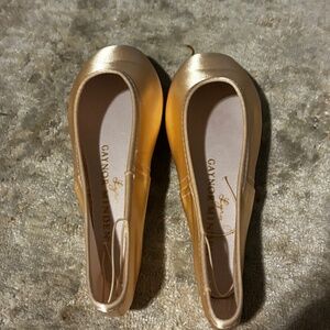 **BRAND NEW** Gaynor Minden Lyra LSC-9.5M3+XDH